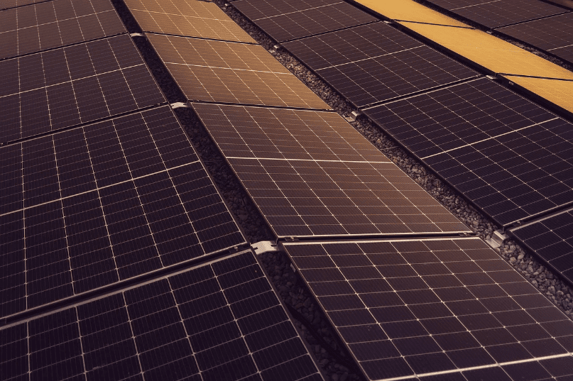 Diversas placas de energia solar enfileiradas